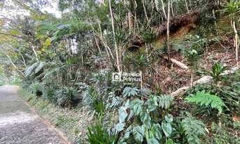 Imagem 6: Terreno com RGI , 2345 m² à venda por R$ 350.000 - Mury - Nova Friburgo/RJ