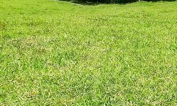 Imagem 7: Sítio 02 alqueires