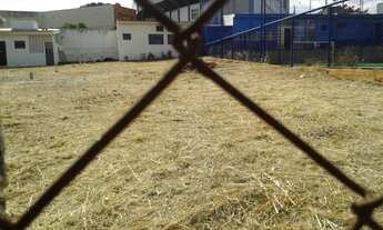 Imagem 3: Terreno para alugar, 500 m² por R$ 5.000,00/mês - Jardim Palma Travassos - Ribeirão Preto