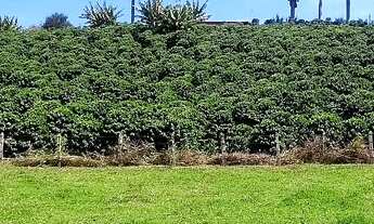 Imagem 2: Sítio 02 alqueires