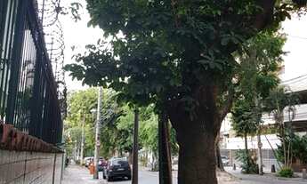 Imagem 3: Alugo apartamento de 2 quartos na Avenida Paula Souza - Maracanã