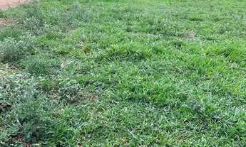 Imagem: Lote Setor Morada dos Pássaros Aparecida