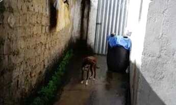 Imagem 3: CASA PARA VENDER