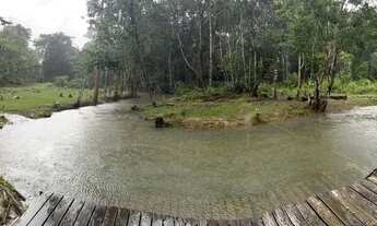 Imagem 2: Sítio em Condomínio Fechado