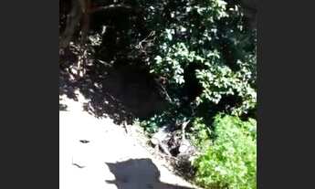 Imagem 2: Aluga-se Casa com 1 dormitório