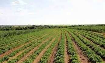 Imagem: Oportunidade Unica, voce nao vai ver mais