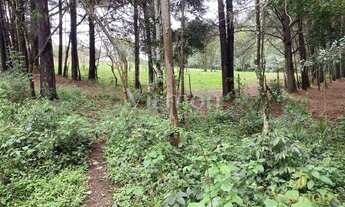 Imagem 3: Terreno à venda, 8857 m² por R$ 849.000,00 - Ferraria - Campo Largo/PR