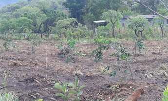 Imagem 7: Chácara Fercal Sobradinho 7.6 Hectares / Oportunidade