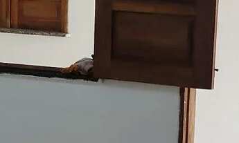 Imagem 4: Alugo kitnet no jardim primavera na rua dois 79 telefone *74