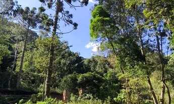 Imagem 6: Sítio de 1 alqueire com nascente na Serra da Mantiqueira - Córrego do Bom Jesus