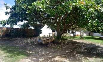 Imagem 3: Vende-se Sítio - Inhambupe - Bahia