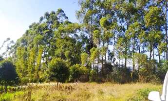 Imagem 7: Terreno próximo do Centro de Ibiúna