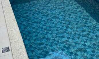 Imagem: Casa Parque Amazônia - Goiânia - GO