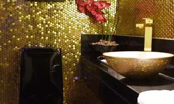 Imagem 3: Parc Paradiso - Gênesis 2004