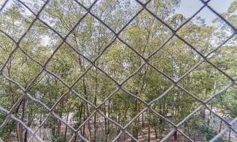 Imagem 6: Apartamento para Aluguel - Jardim Santa Emília, 3 Quartos, 57 m2