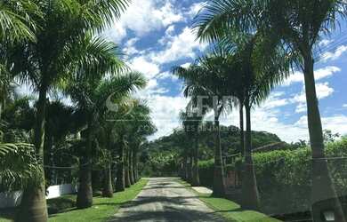 Imagem 4: Excelente Chácara com casa, pomar e tanque de peixes em Peruíbe