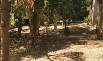 Imagem 5: Terreno em Aberta dos Morros