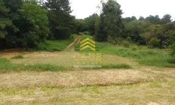 Imagem 2: Imóvel para venda com 530 metros quadrados em Águas Claras - Viamão - RS