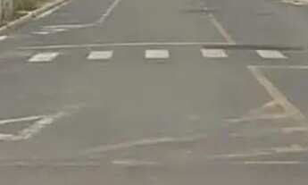 Imagem 3: LOTE PRÓXIMO CAFÉ BRASILEIRO