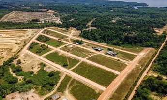 Imagem 7: Pássaros da Amazônia Lotes Entrada Facilitada