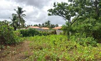 Imagem 4: VENDO EXCELENTE CASA SEMI CHÁCARA EM SANTO AMARO-MA