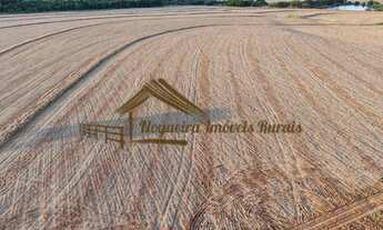 Imagem 5: Sítio com 17 alqueires terra vermelha em Quadra/SP