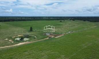 Imagem 5: EXCELENTE FAZENDA DE PLANTIO DE BANANA E PECUARIA NO NORTE DE MINAS
