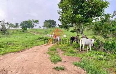 Imagem 7: FAZENDA NA CIDADE DE PROFESSOR JAMIL GOIÁS