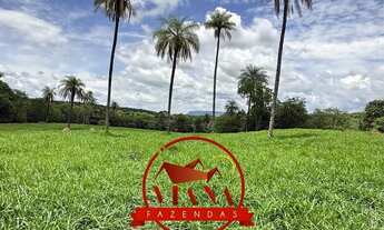 Imagem 2: FAZENDA DE 107 HECTARES (22 ALQ) - FORMOSA GO