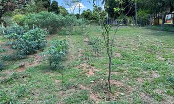 Imagem 2: Rural Chácara em São José do Rio Preto