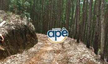 Imagem 3: Terreno à venda, 340000 m² por R$ 5.000.000,00 - Alto Castelinho - Vargem Alta/ES