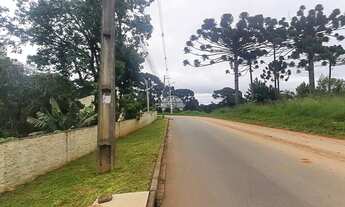 Imagem 7: Vendas Área Colombo PR