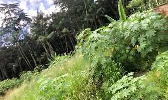 Imagem 4: TERRENO NO TURU PROX. AO LEBARON