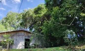 Imagem 5: Vendo lindo sítio em Campestre da Serra Rs