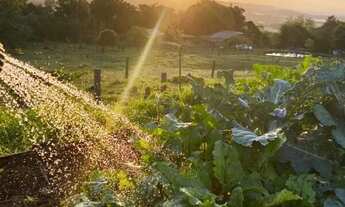 Imagem 3: Sítio dos Sonhos na Colina em Rolante 5,5 hectares de beleza e tranquilidade