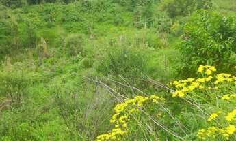 Imagem 5: Área Rural com 50ha