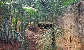 Imagem 4: Área à venda, 2635 m² por R$ 1.990.000,00 - Setor Central - São Luís de Montes Belos/GO