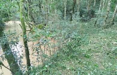 Imagem 6: Chácara com tanque de peixe em quitandinha