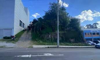 Imagem: Terreno Bairro Sagrada Família