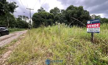 Imagem 2: Chácara com 2 ha de terra no São Victor Cohab