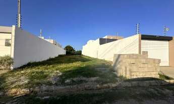 Imagem 3: Lote no Mosqueiro