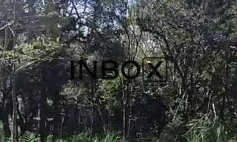 Imagem 6: TERRENO NO BAIRRO BORGO EM BENTO GONÇALVES