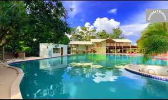 Imagem 2: Fazenda Extra 30 Alqueires!