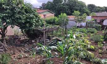 Imagem 4: Terreno em Sumaré