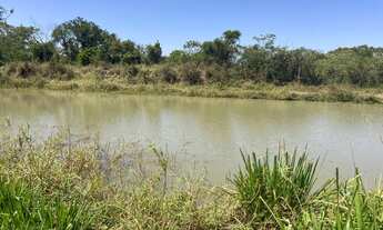 Imagem: CHÁCARA EM GOIANIRA