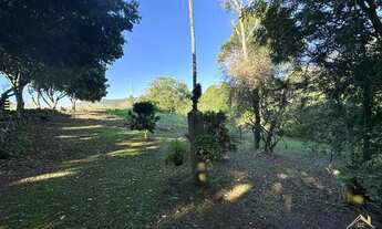 Imagem 4: Excelente Sítio à venda com 4.8 hectares em Linha Olinda. Nova Petrópolis RS! REF: 399