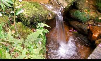 Imagem 5: Sítio a venda na região de São pedro sp
