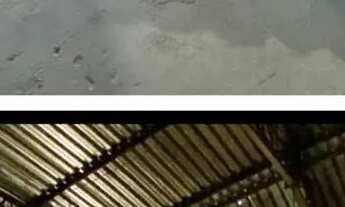 Imagem 2: VENDO CASA DE RAÇÃO E CASA DO NORTE COMPLETA