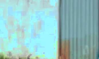 Imagem 7: Chácara de 60 Tarefas - Maruim