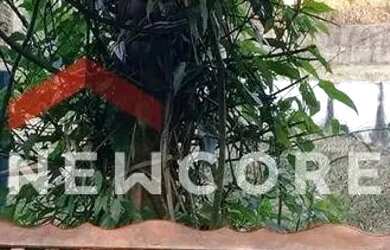 Imagem 6: Chácara em condomínio em Alameda das Azaléias - Chácaras Santa Rita - Caçapava/SP